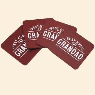 G-ABSORCOASTER-2