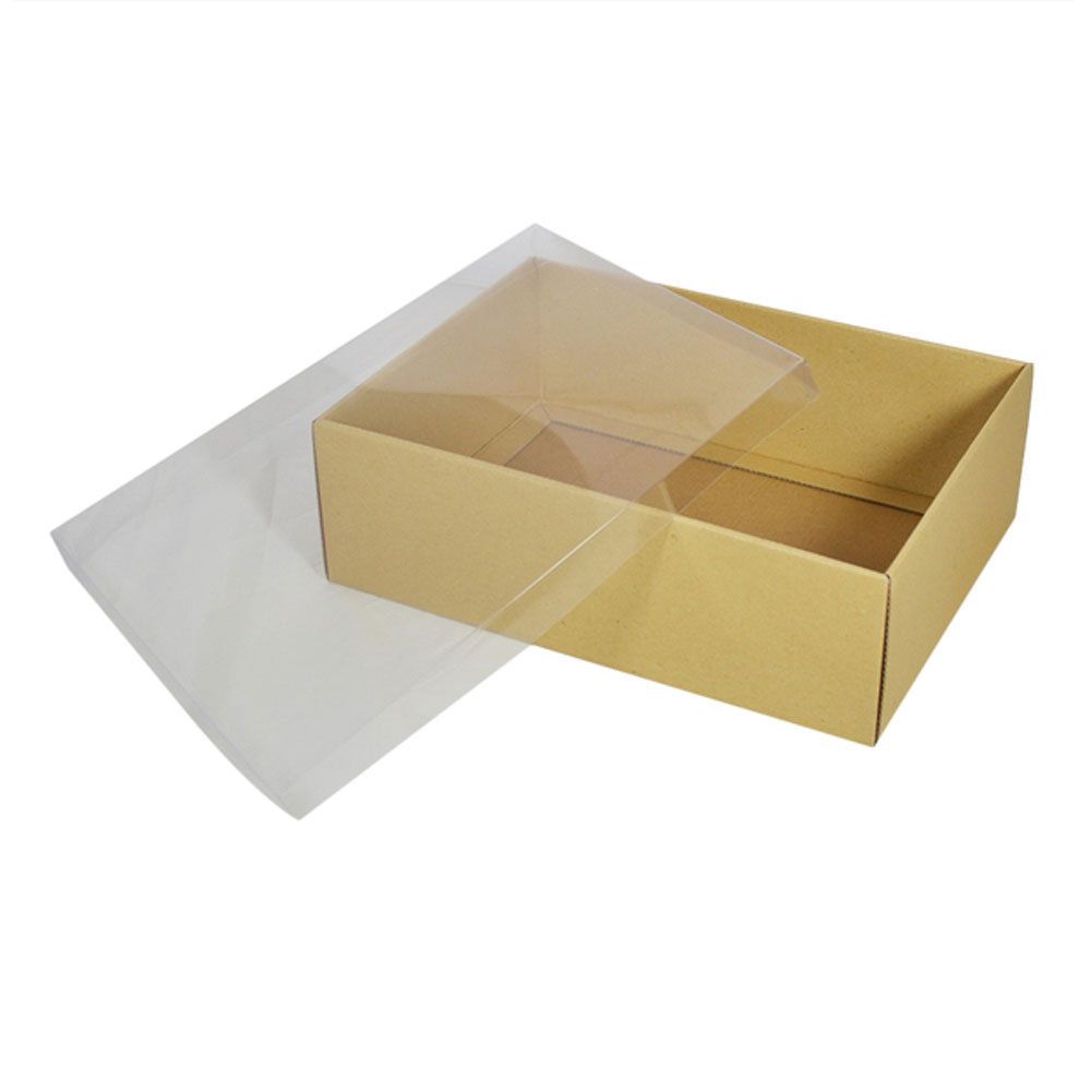 Clear Lid Box DANZO